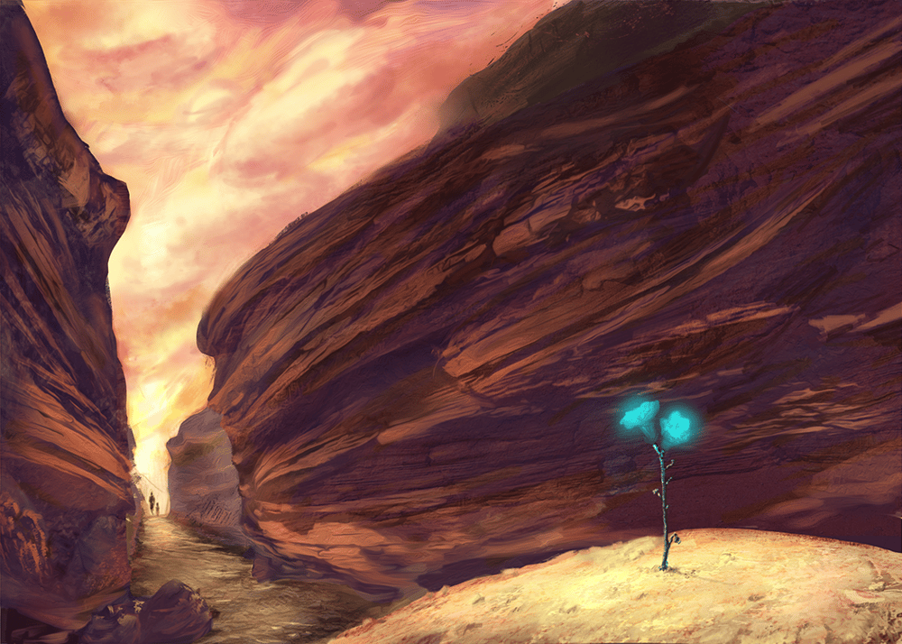 Desert flower study - image 2 - student project