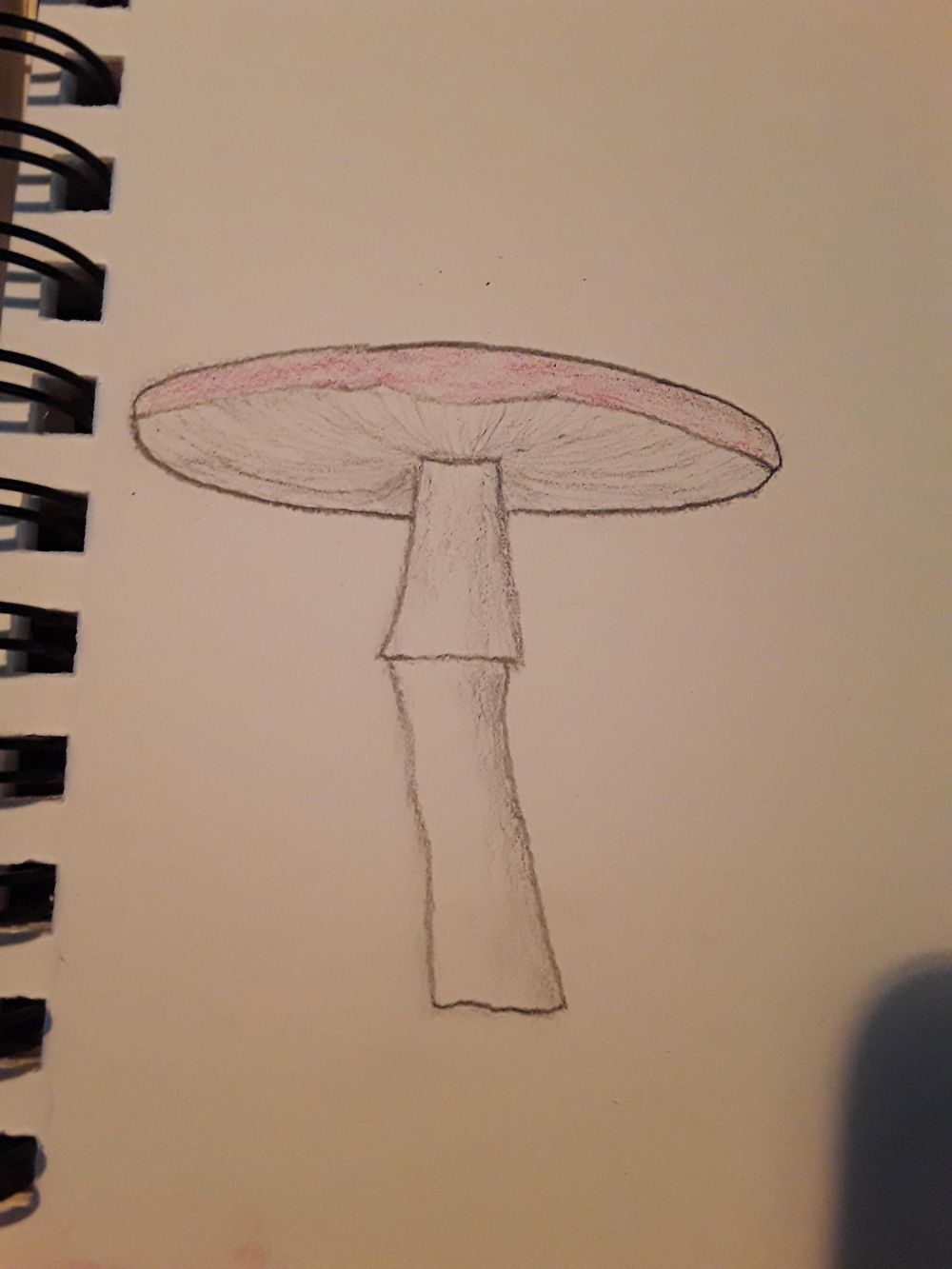 Becoming creative - image 2 - student project