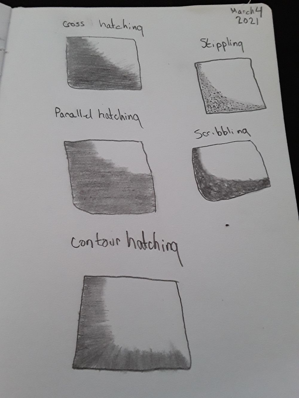 pencil drawing- basics - image 6 - student project