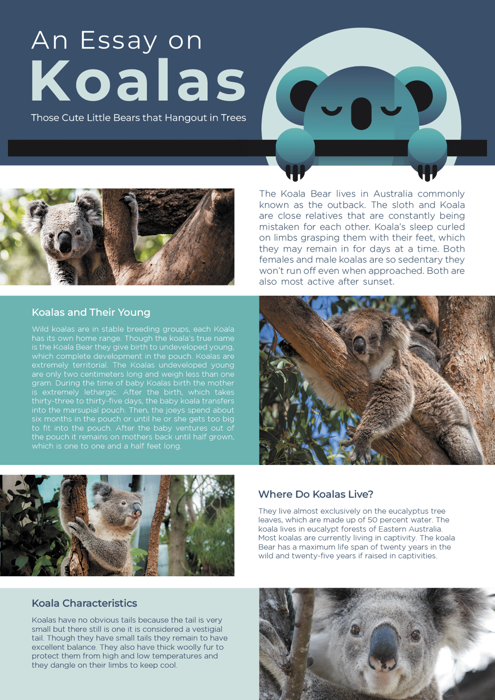 My Final project and projects in Alignment, Hierarchy and Typography - image 1 - student project