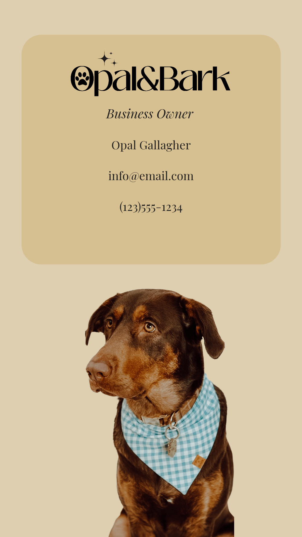 Digital Business Card - image 1 - student project