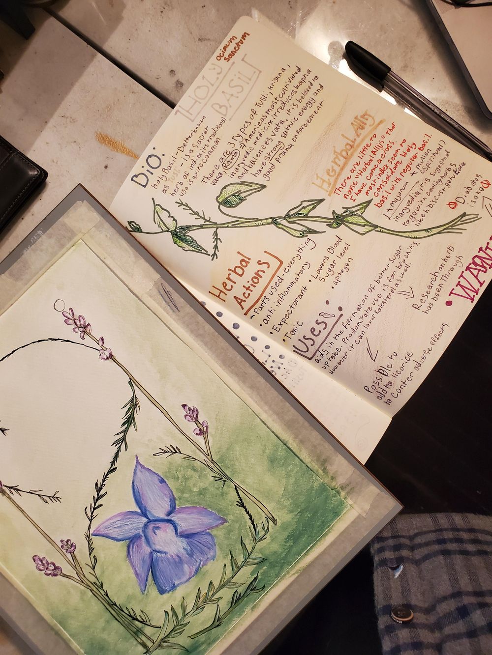 Holistic Practioner - image 1 - student project