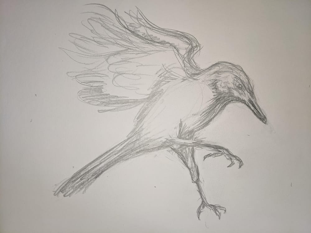 Basic Skills Attempt - image 2 - student project