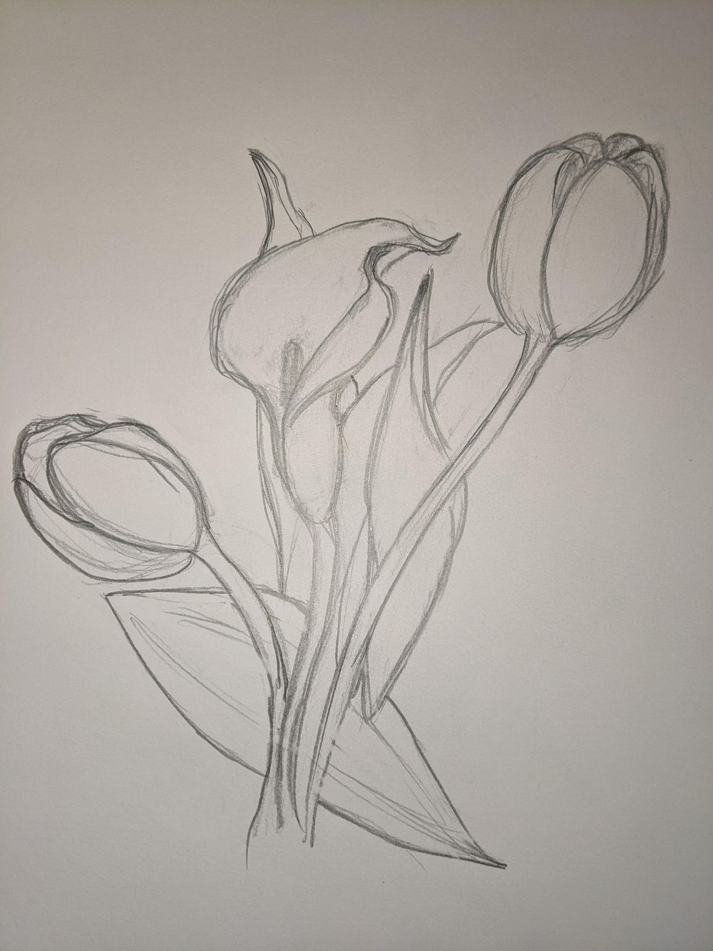 Basic Skills Attempt - image 4 - student project