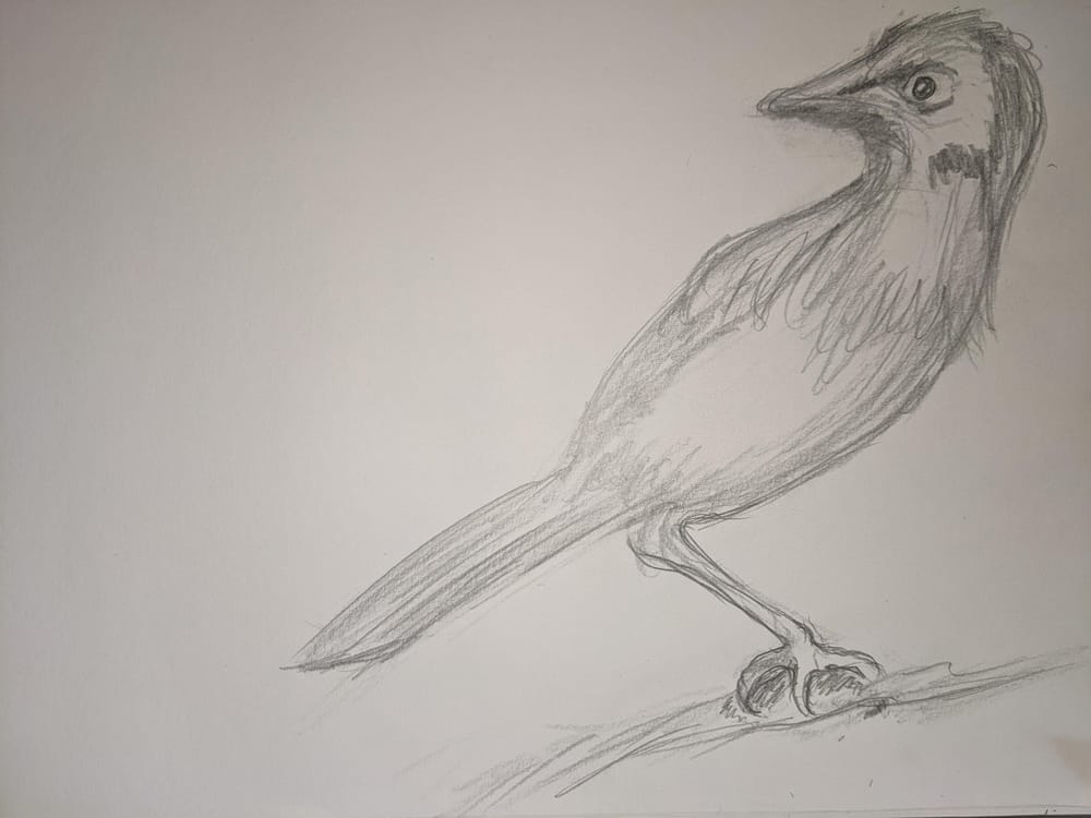 Basic Skills Attempt - image 1 - student project