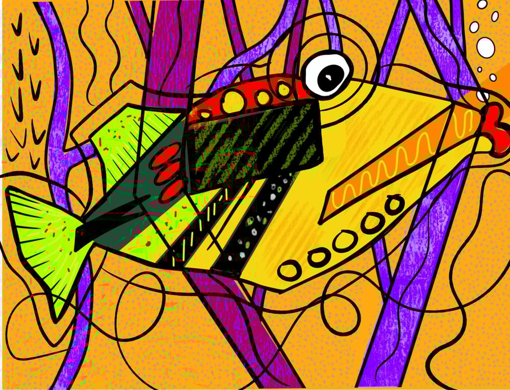 The real existing ‘Picasso triggerfish’. - image 2 - student project