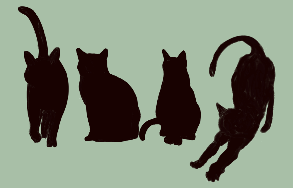 Cats ' - image 7 - student project