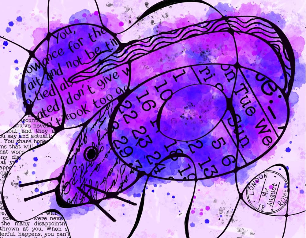 Fun!!! - image 1 - student project