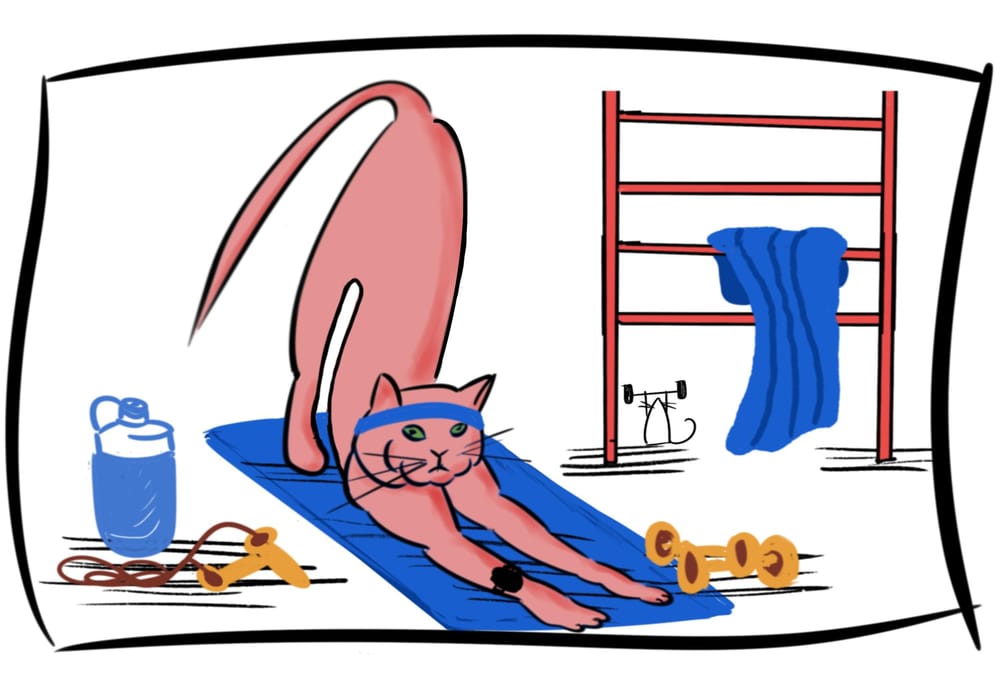 Fun with cats! I I - image 4 - student project