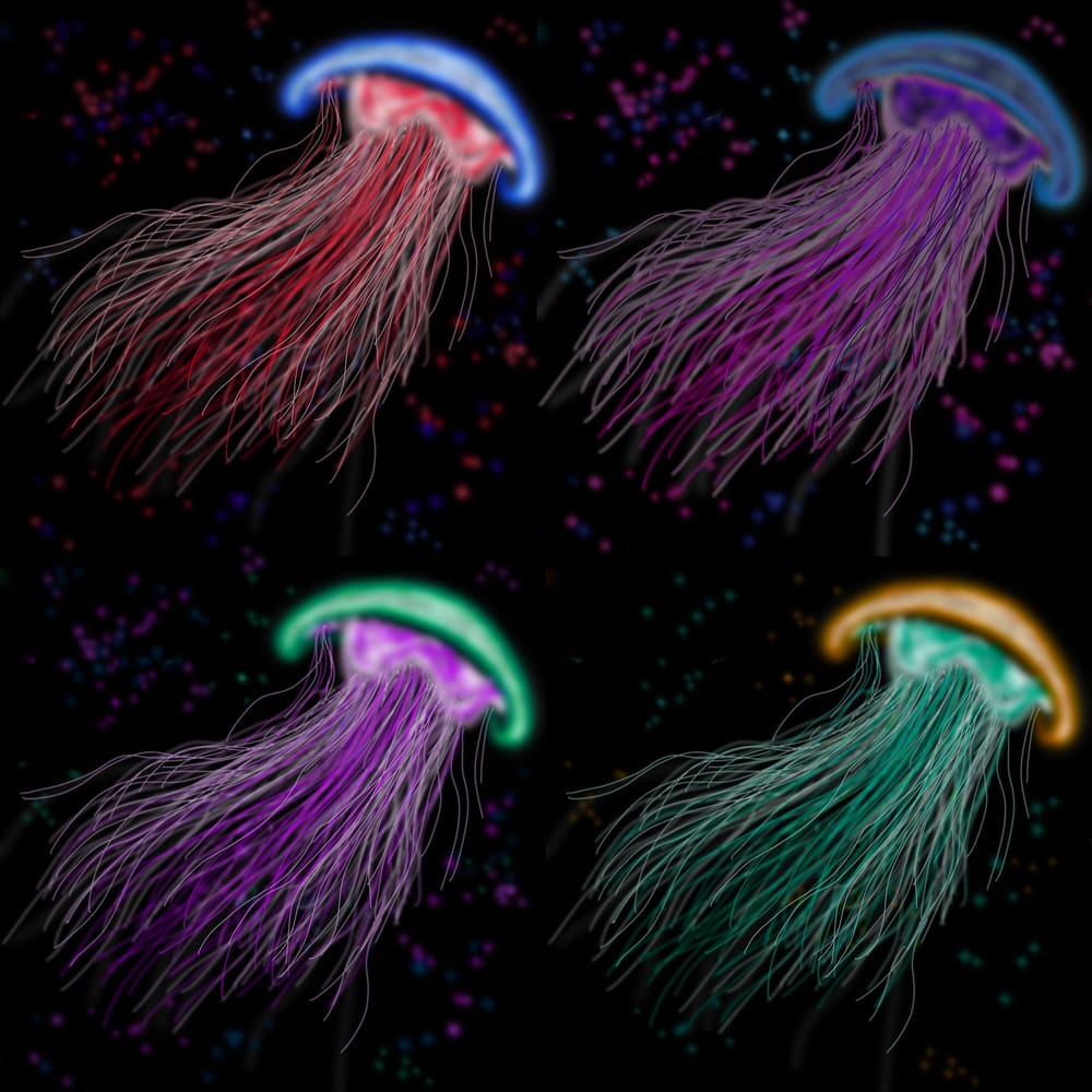 Yellyfish - image 2 - student project