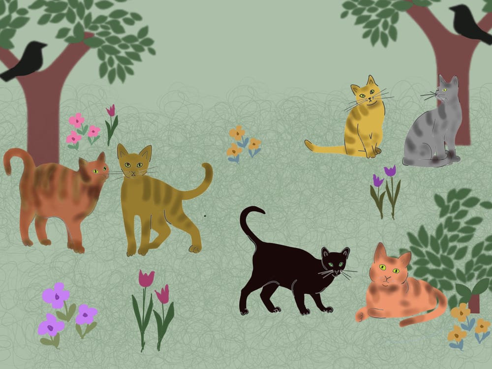 Cats ' - image 1 - student project
