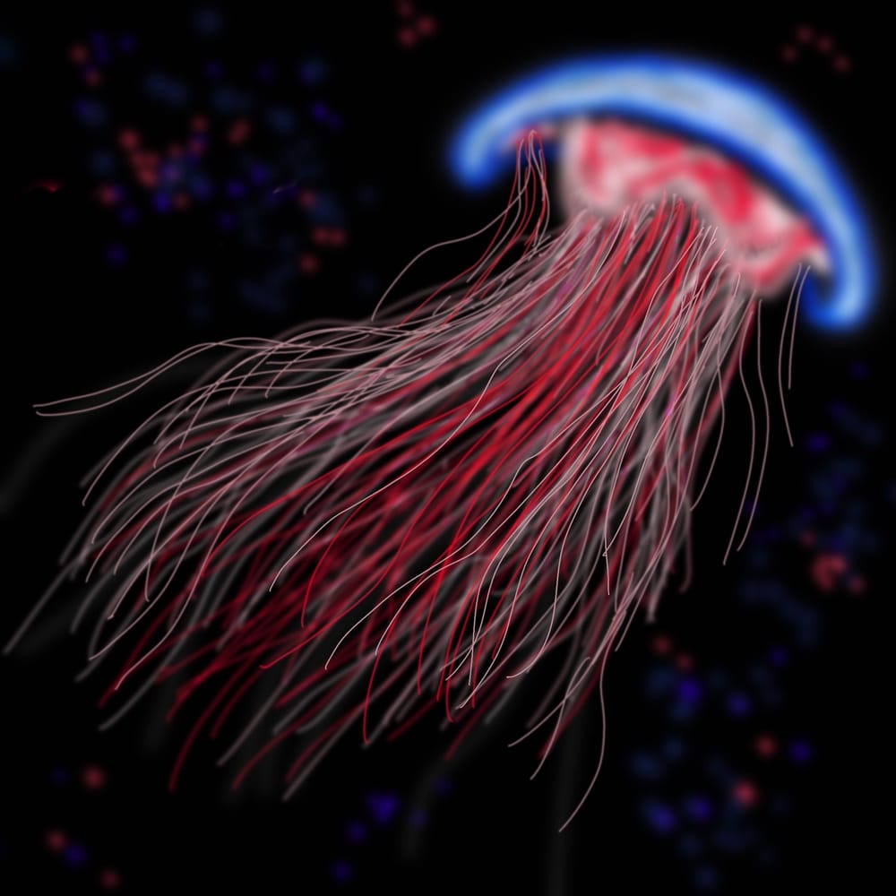 Yellyfish - image 1 - student project