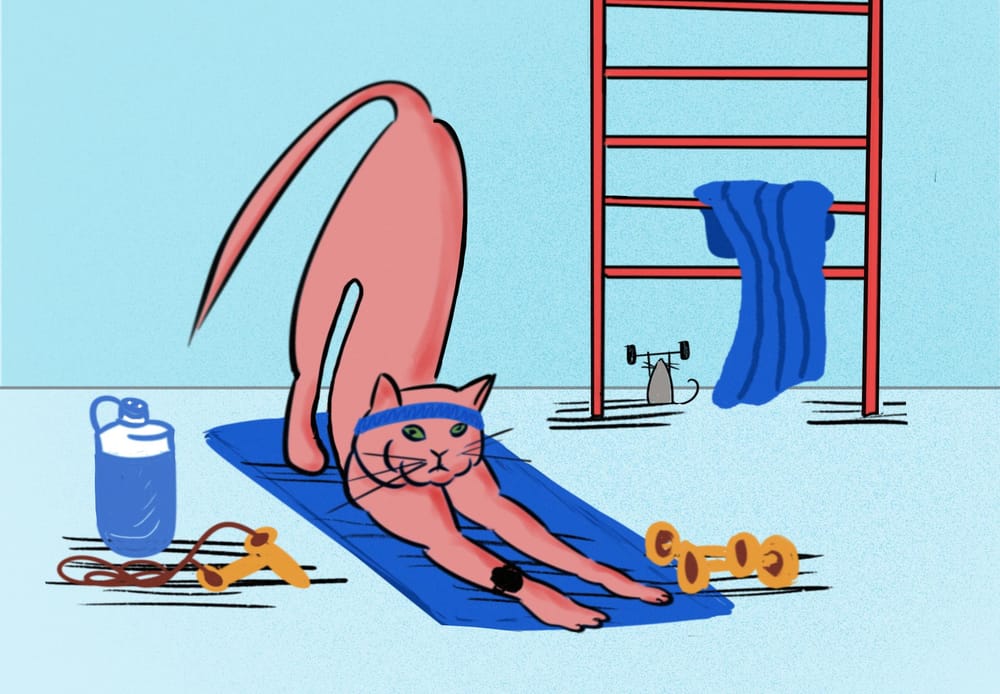 Fun with cats! I I - image 2 - student project