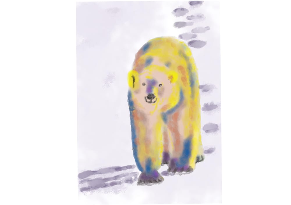 Crazy polar bears! - image 2 - student project