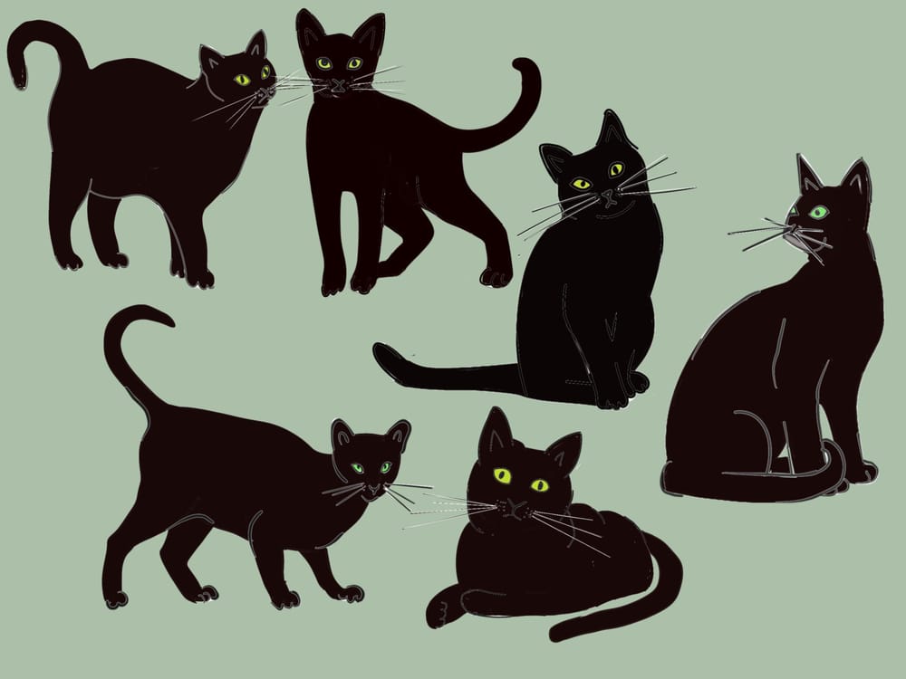 Cats ' - image 4 - student project