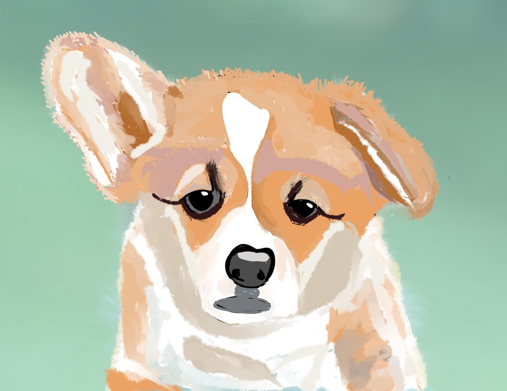 cartoon dogs - image 3 - student project