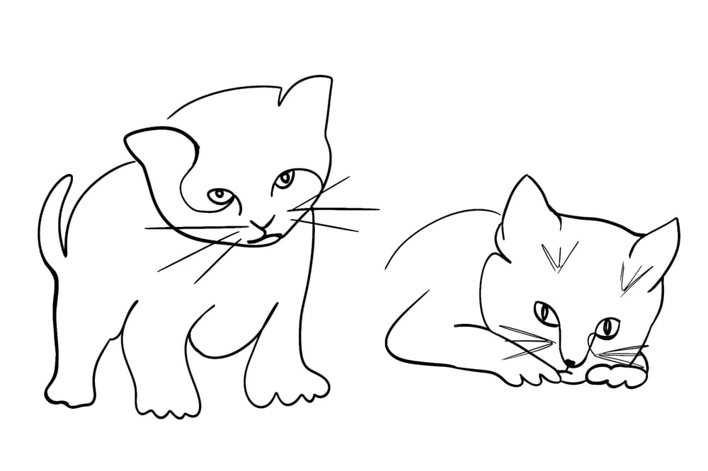 More one liners! - image 2 - student project