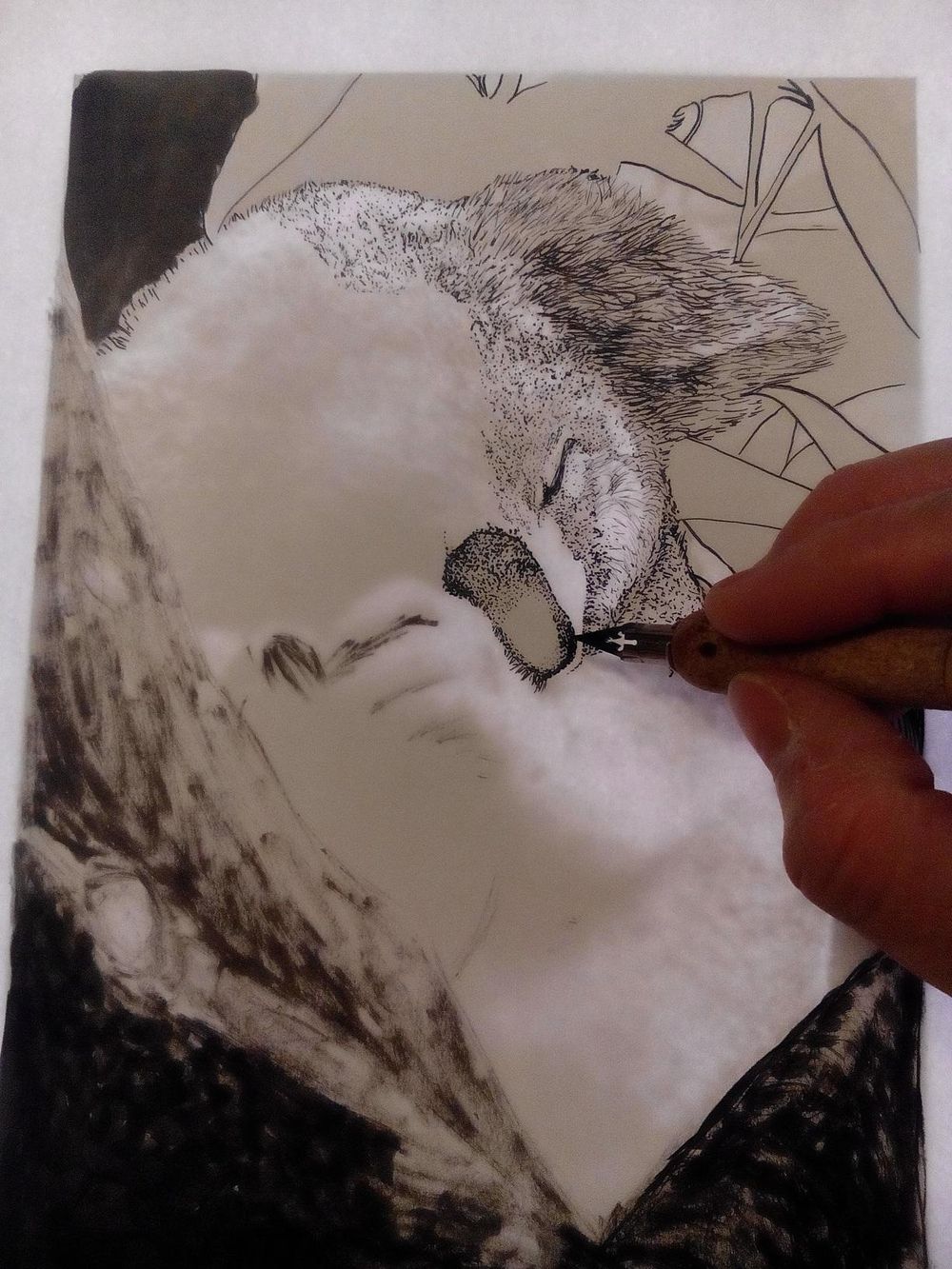 Sleeping koala - image 5 - student project