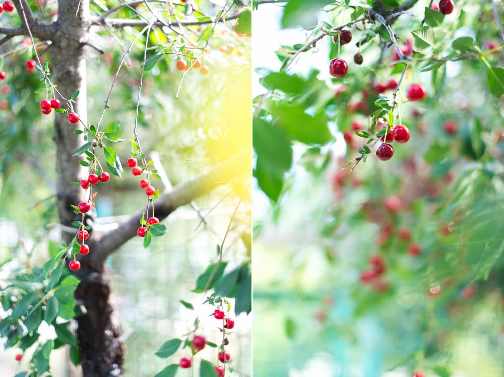 One summer week - image 1 - student project