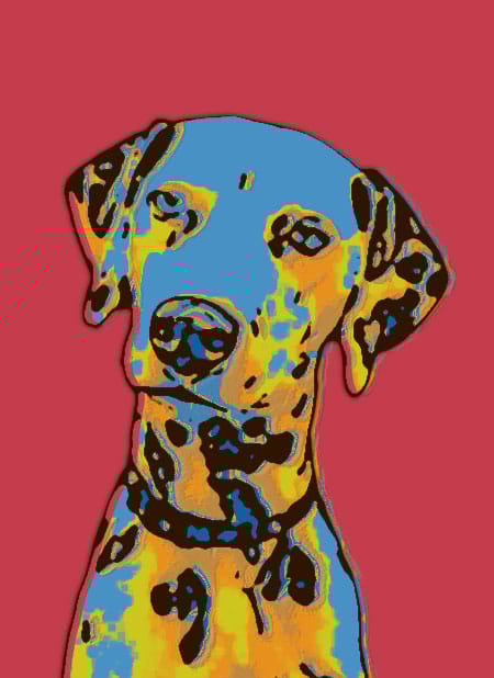 Animals - image 2 - student project