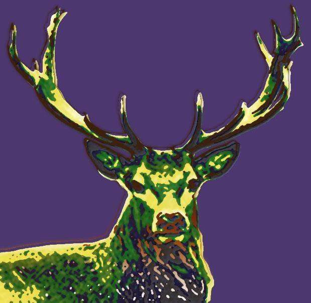 Animals - image 6 - student project