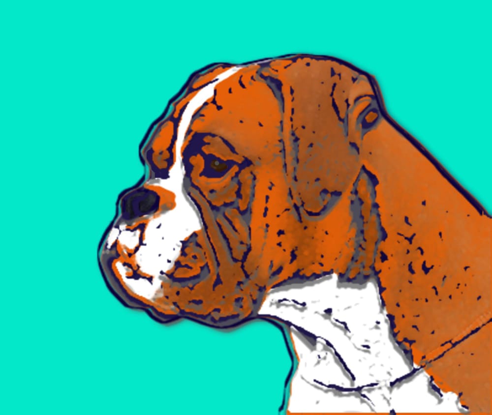 Animals - image 1 - student project