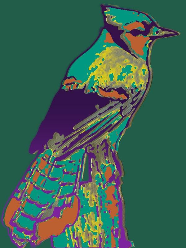 Animals - image 5 - student project