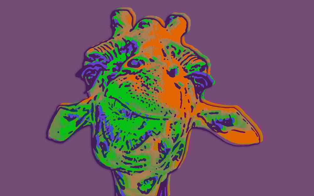 Animals - image 3 - student project