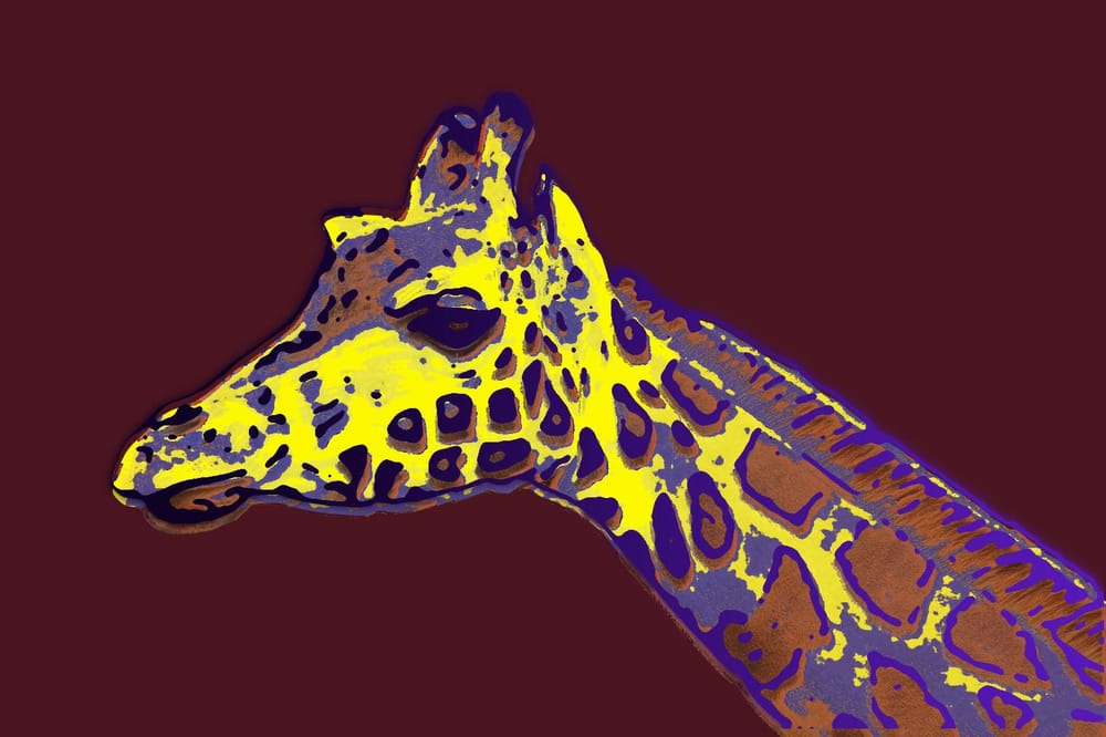 Animals - image 4 - student project