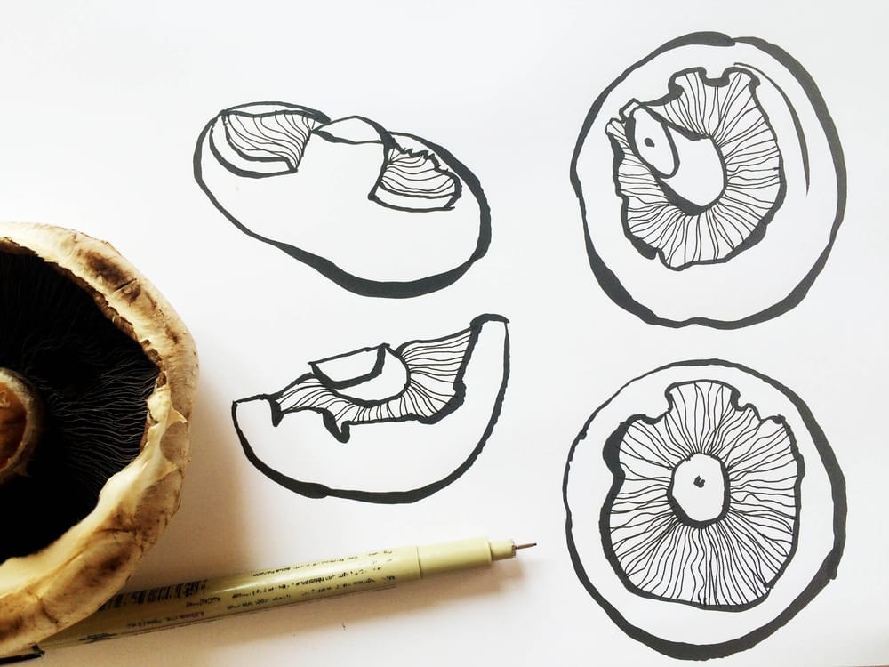 3 minute veg - image 1 - student project