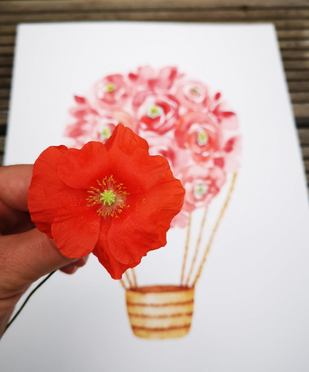 Poppies - image 2 - student project