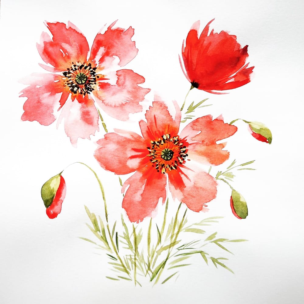 Poppies - image 1 - student project
