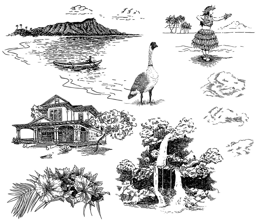 Toile de Waikiki - image 2 - student project