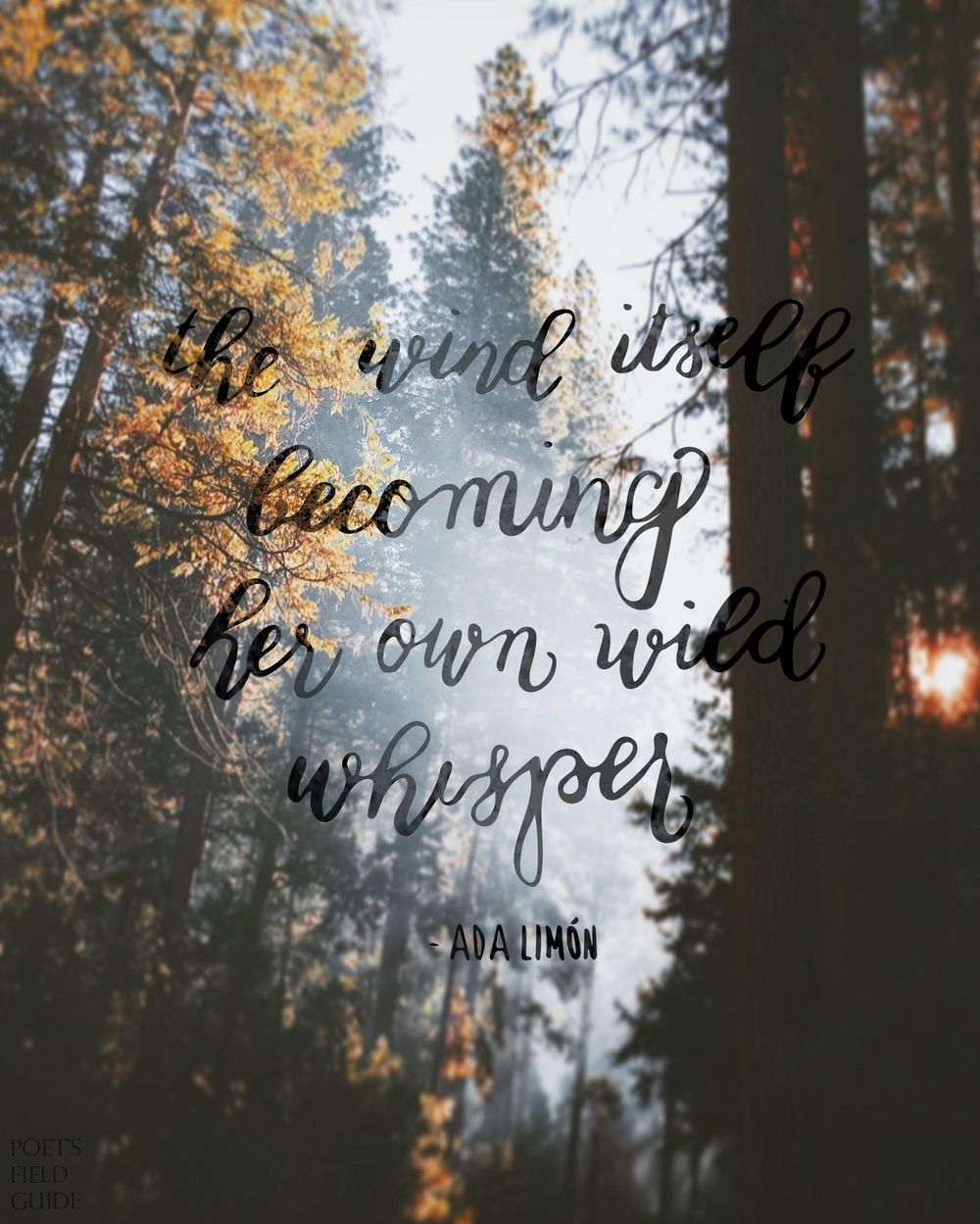 Wild Whisper - image 1 - student project