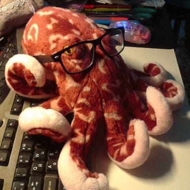 Clever Octopus - image 1 - student project