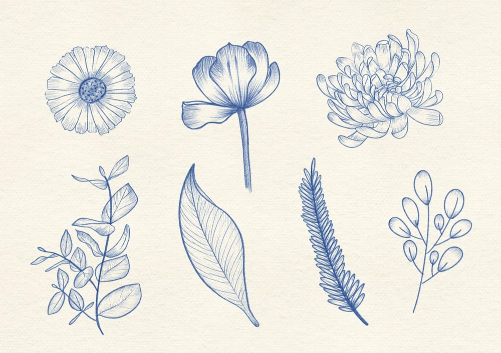 Ilustração Botânica - image 1 - student project