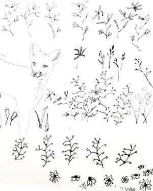 Seeds and Flowers - image 1 - student project