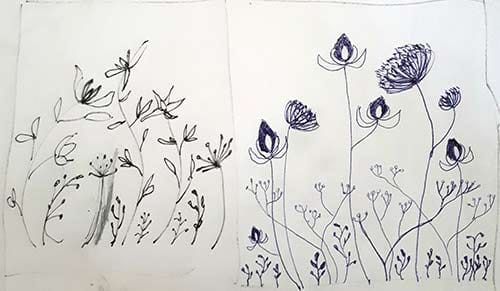 Seeds and Flowers - image 3 - student project