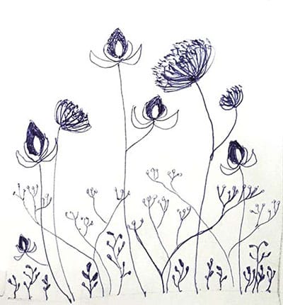 Seeds and Flowers - image 5 - student project
