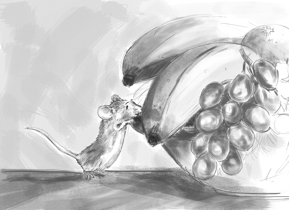 Illustrating Children's Books (and beyond!) - image 2 - student project