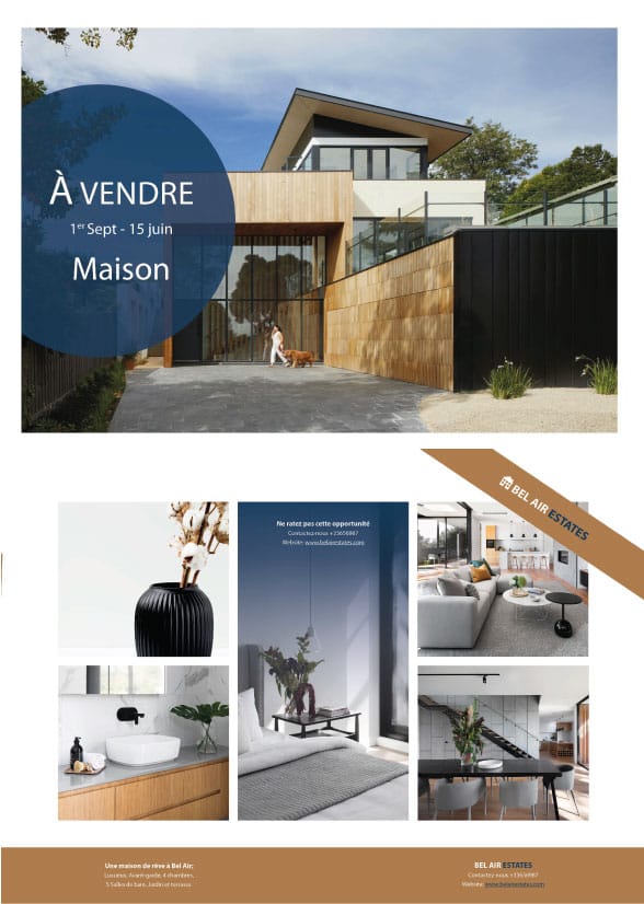 Affiche soldes - Page Mag - Affiche Immob - image 3 - student project