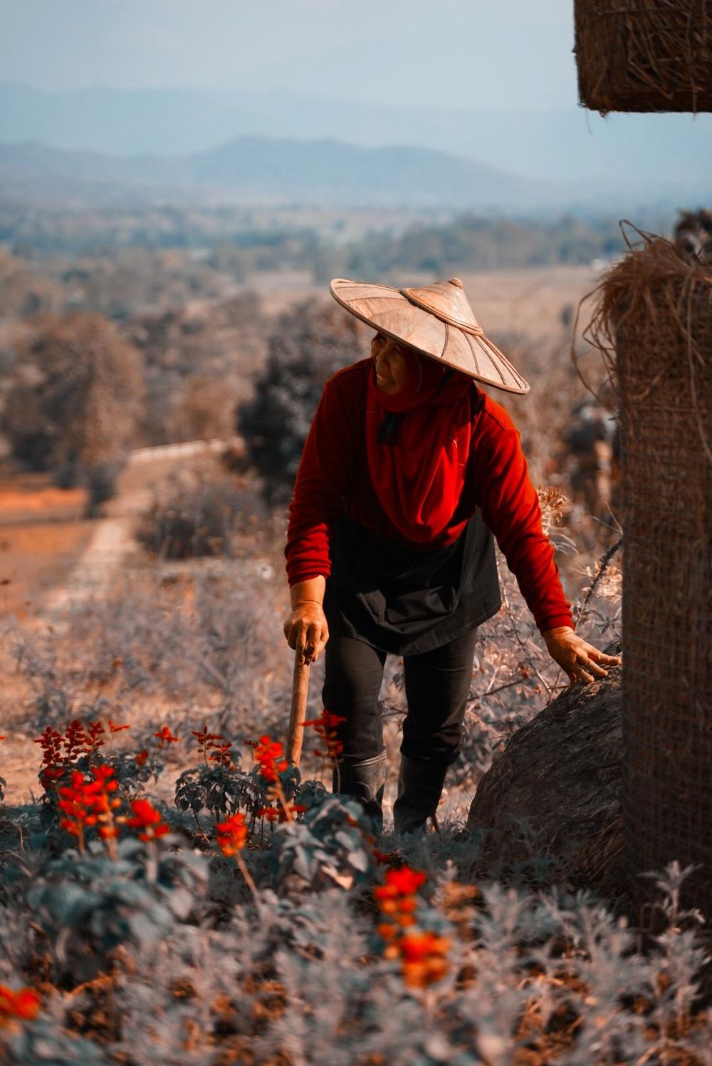 Travel & Street photos in Chiang Mai & Pai - image 2 - student project