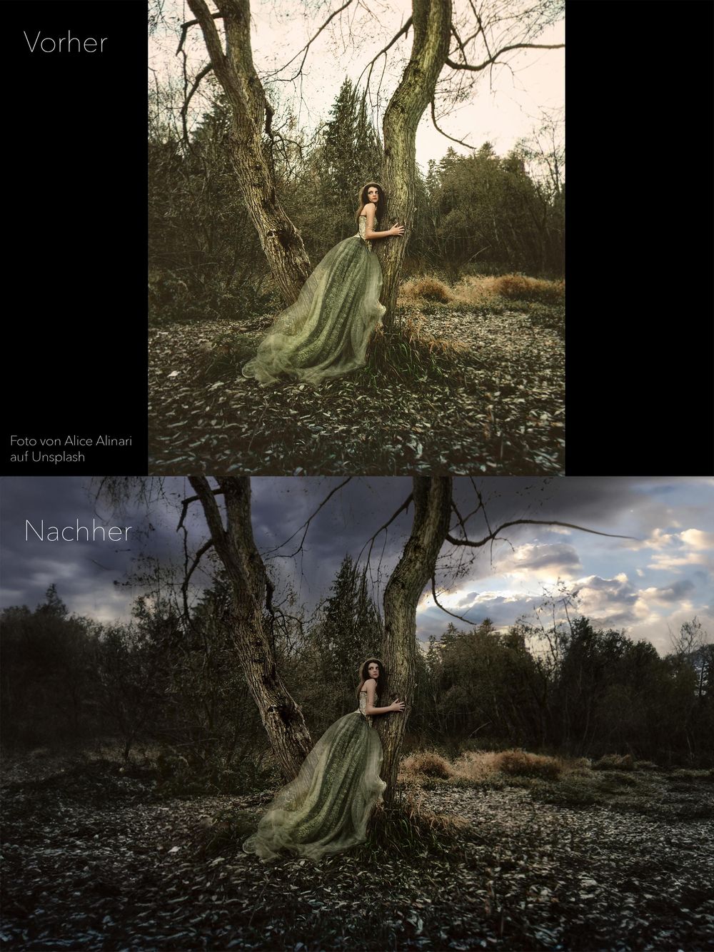 Bild optimieren - image 1 - student project