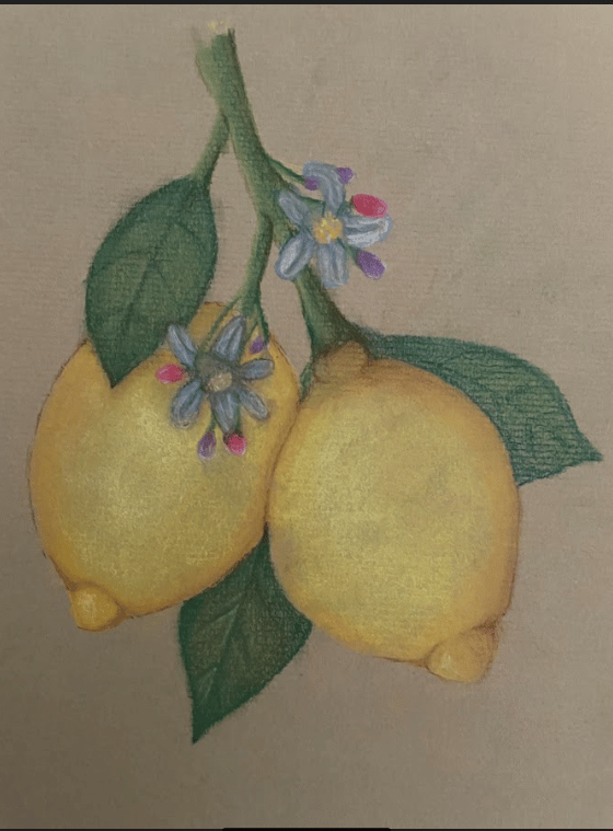 My first pastel lemon - image 1 - student project