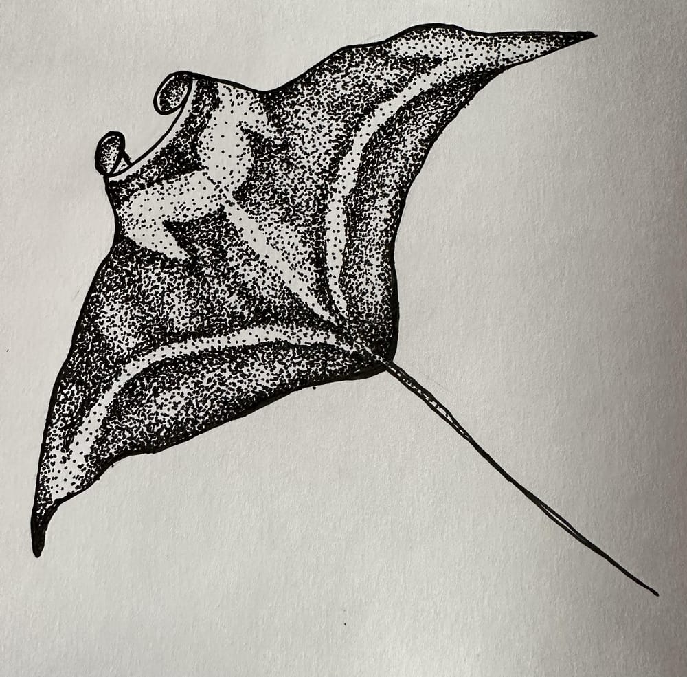Manta Ray - image 1 - student project