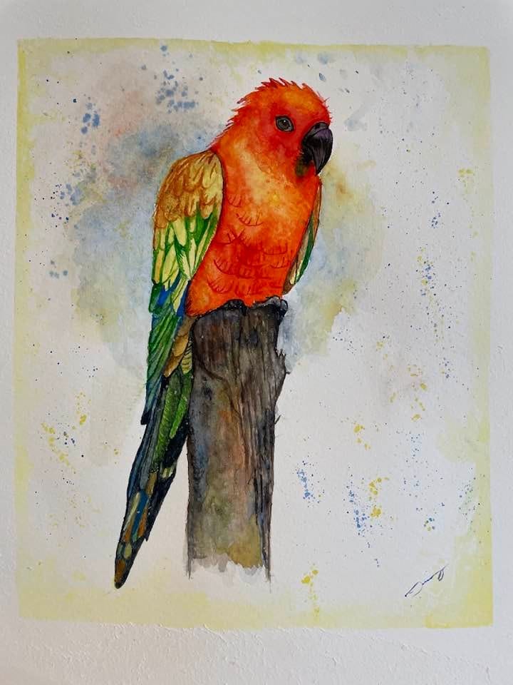 My first bird - image 1 - student project