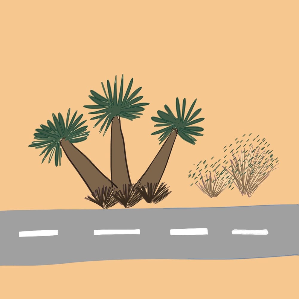 Driving to Las Vegas - image 4 - student project