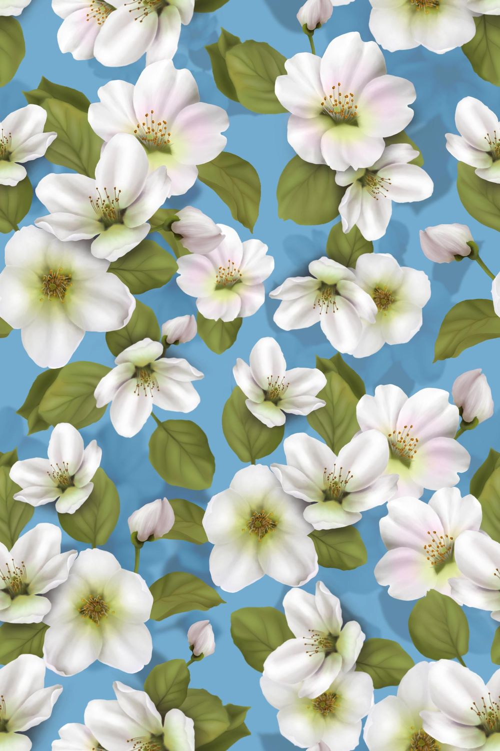 Cherry blossoms - image 1 - student project