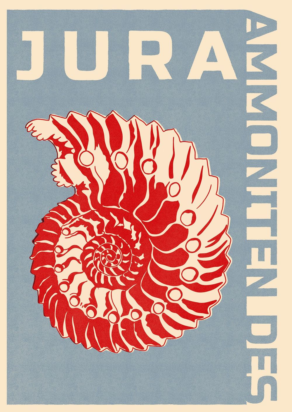 AMMONITEN des Jura - Collection - image 2 - student project