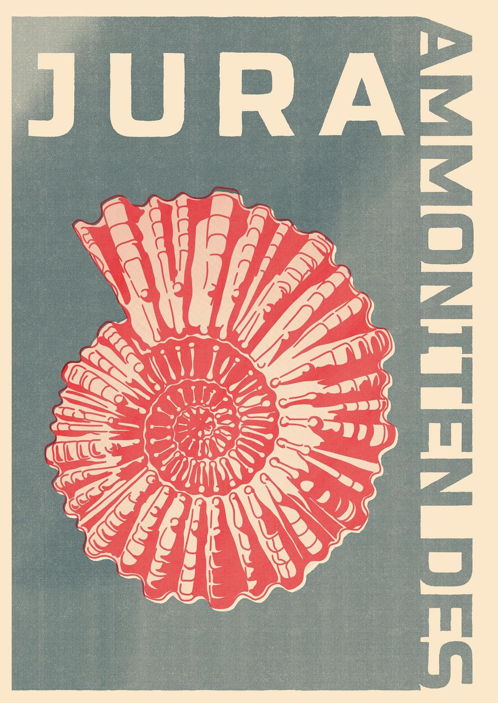 AMMONITEN des Jura - Collection - image 1 - student project